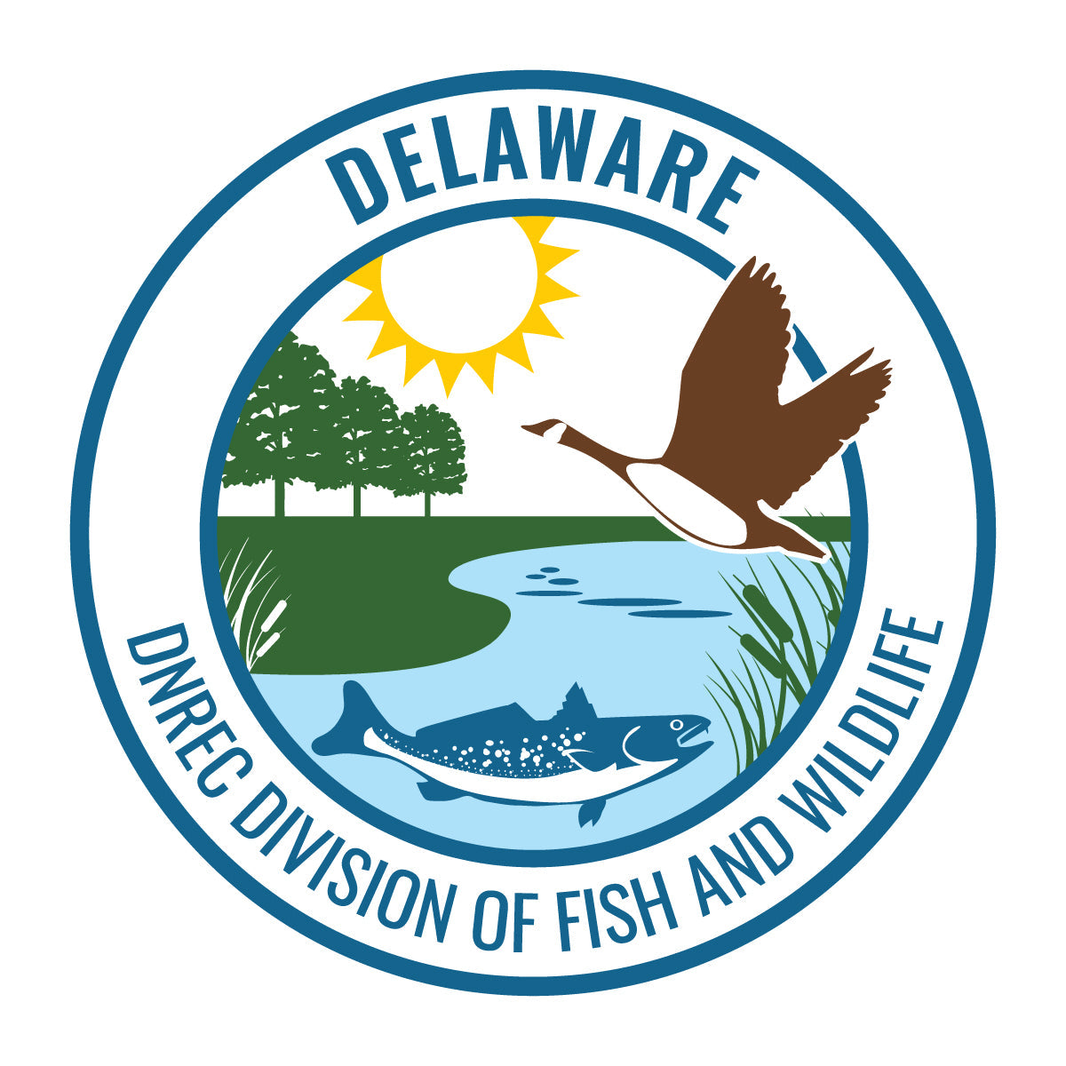 Fishing & Boat License