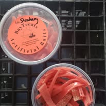 BayTreats