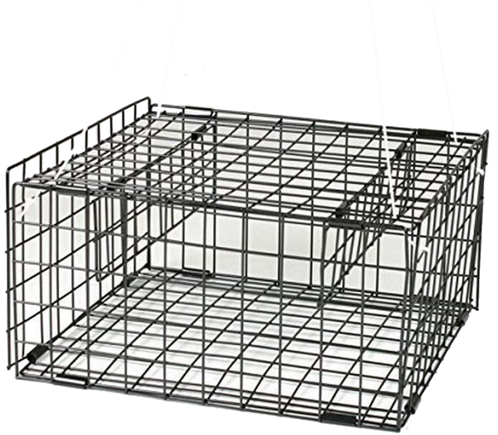 Snap Trap