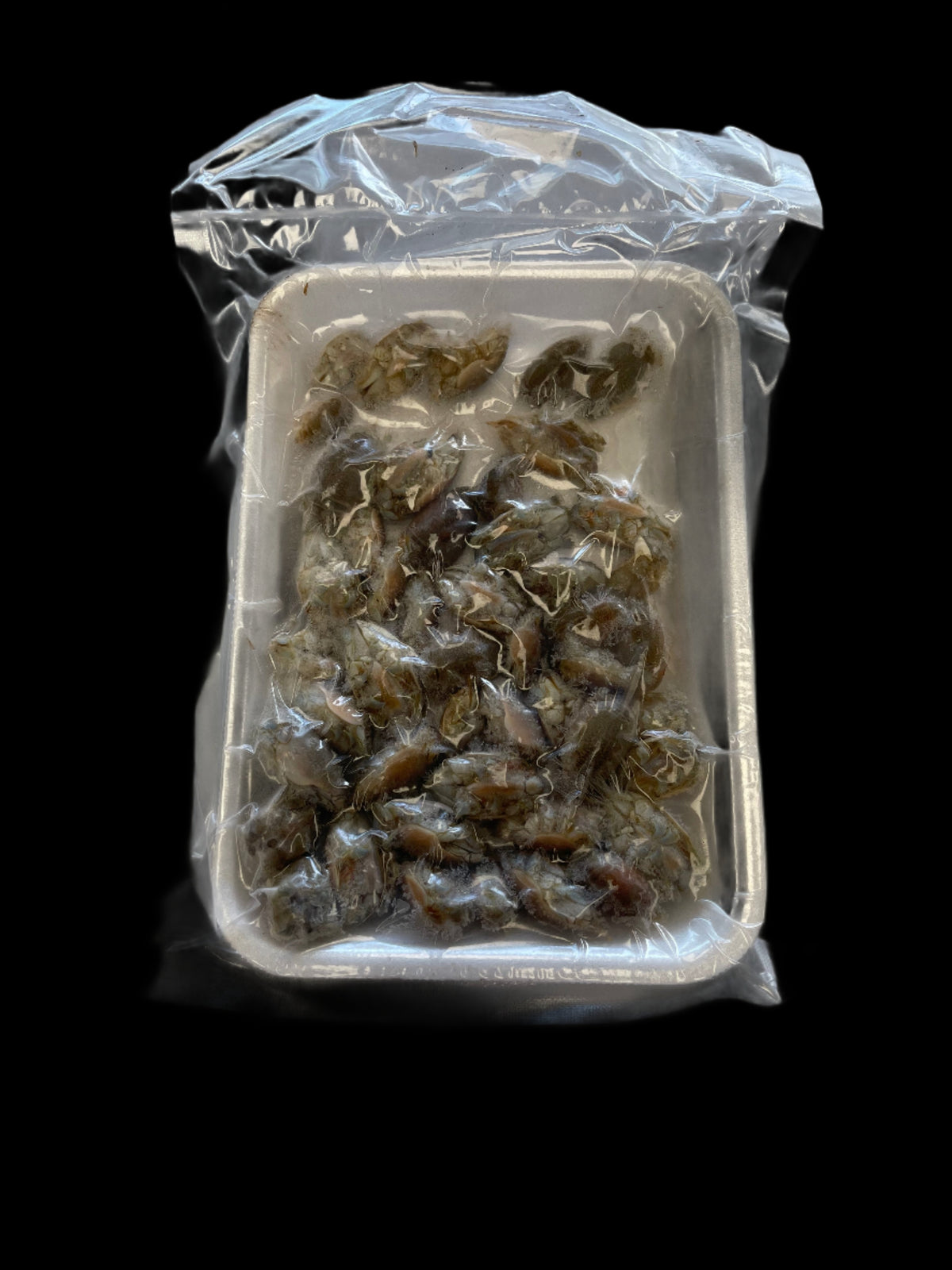 Frozen Sand Fleas — Kohr Crabbing Supplies