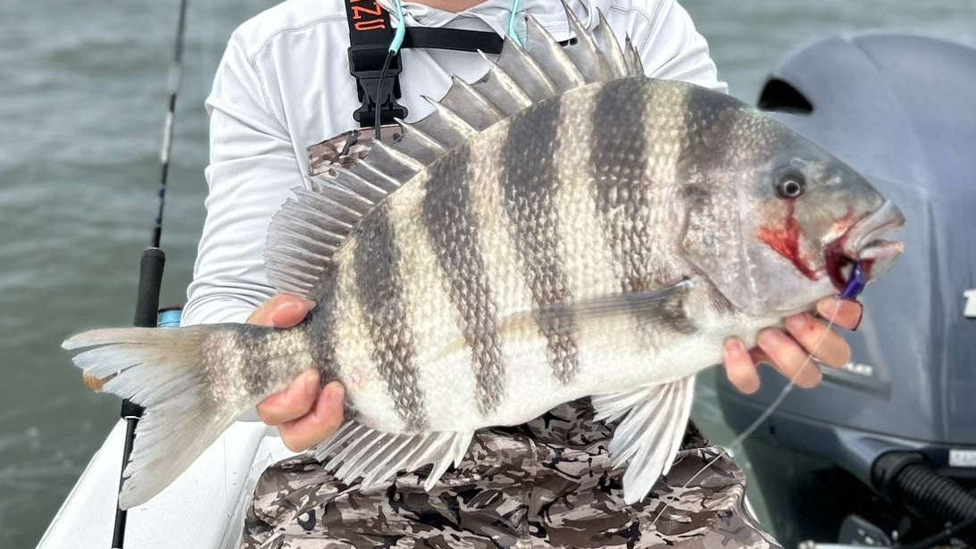 Kohr's Outdoors Tog/Sheep Jig