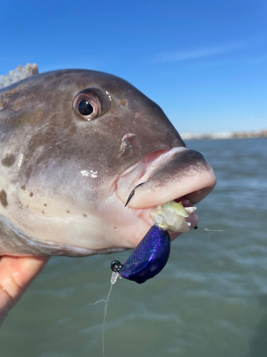 Kohr's Outdoors Tog/Sheep Jig