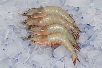 Shrimp Heads On