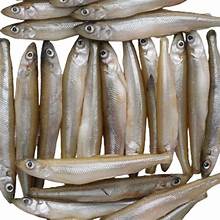 Frozen Smelts