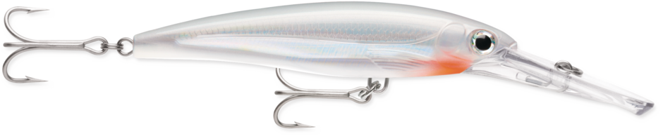 Rapala 5-1/2" SW X-RAP Jerkbait