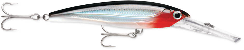 Rapala 4-3/4" X-RAP MAGNUM 15