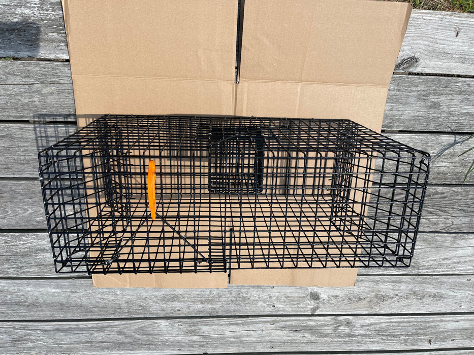 Spot Trap