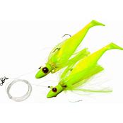 Blue Water Candy Tandem Parachute Rig