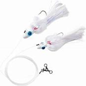 Blue Water Candy Tandem Parachute Rig