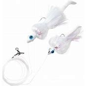 Blue Water Candy Tandem Parachute Rig